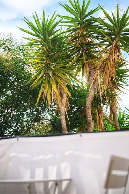 La Julia - Calme - Spacieux - Parking Prive - Climatisation Apartment *